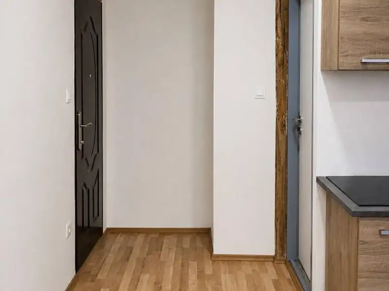 Pronájem bytu 1+kk 30 m², Strančice – náhled fotky 3