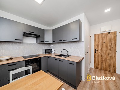 Wohnung 1+1 zur Miete, 30 m² (2 von 8)