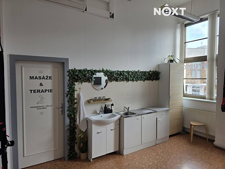 Pronájem komerčního prostoru, 42 m² (17 z 20)