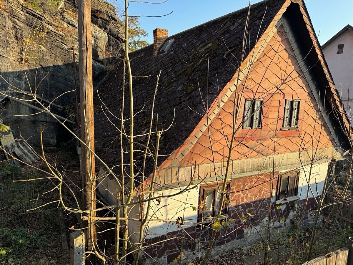 Dražba chaty 260 m², pozemek 283 m², Zahrádky – fotka 1 z 3