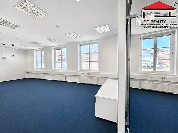 Pronájem komerčního prostoru, 149 m² (2 z 12)