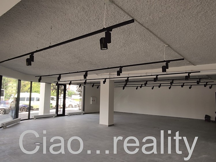 Gewerbefläche zur Miete, 190 m² (3 von 5)