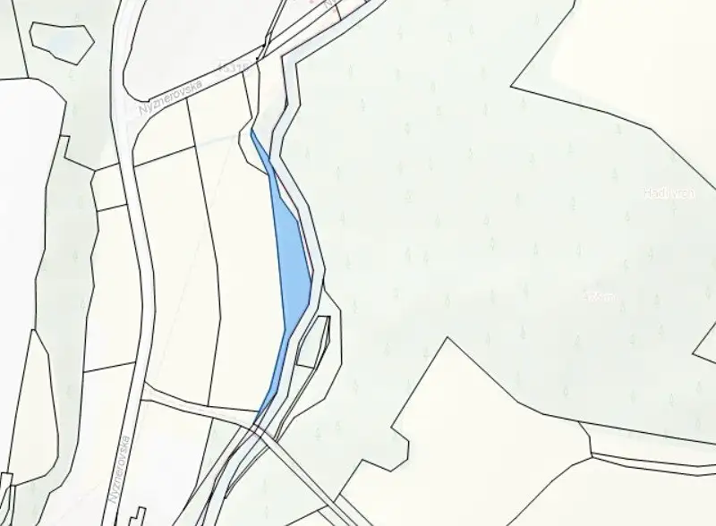 Prodej lesa 3247 m², Skorošice – náhled fotky 2