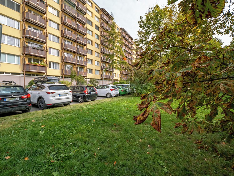 Ostatní