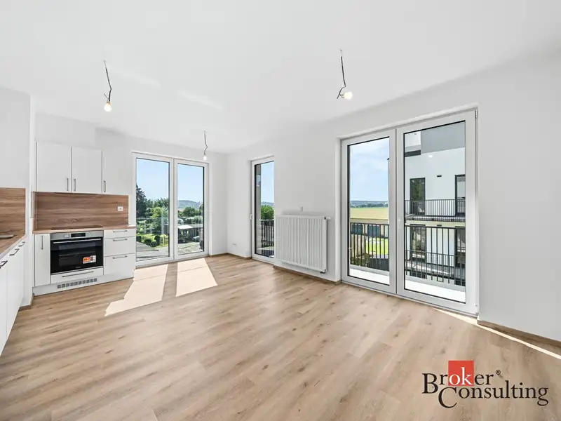 Pronájem bytu 2+kk 56 m², Dobřany – náhled fotky 1