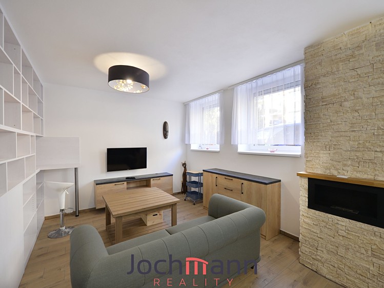 Wohnung 1+kk zur Miete, 50 m² (4 von 14)