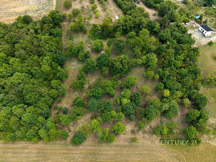 Prodej pozemku, 526 m² (7 z 17)