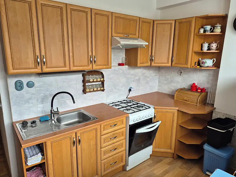 Prodej bytu 1+1 40 m², Liberec – náhled fotky 1