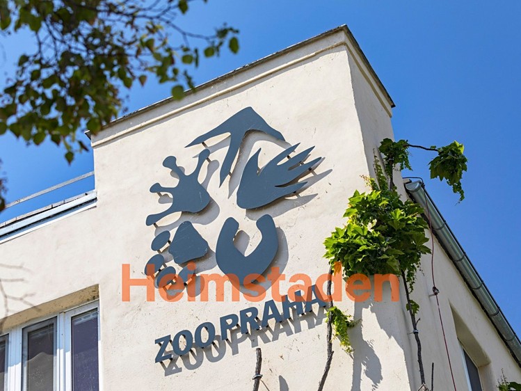 Pronájem bytu 2+kk, 55 m² (13 z 15)