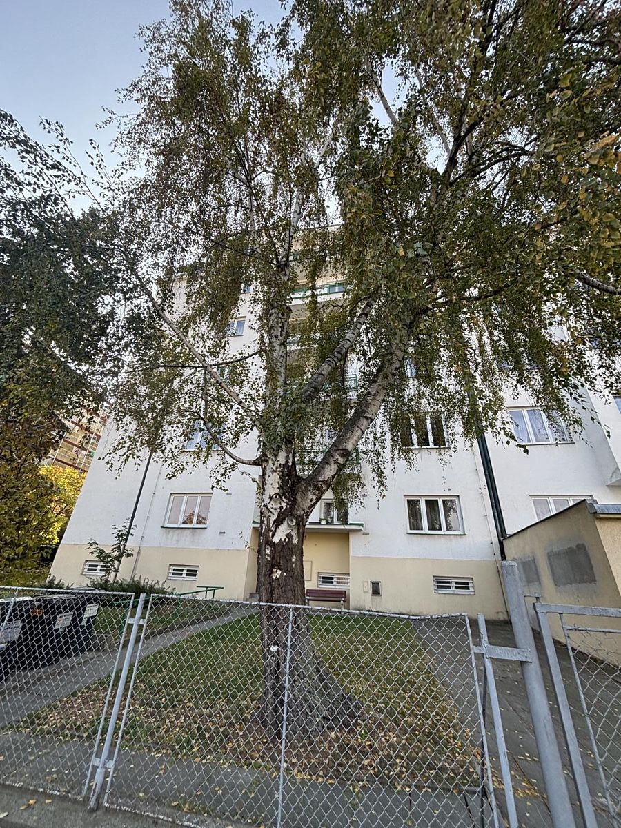 Prodej bytu 1+1 45 m² – fotografie 3