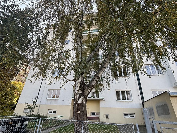 Wohnung 1+1 zum Kauf, 45 m² (3 von 22)