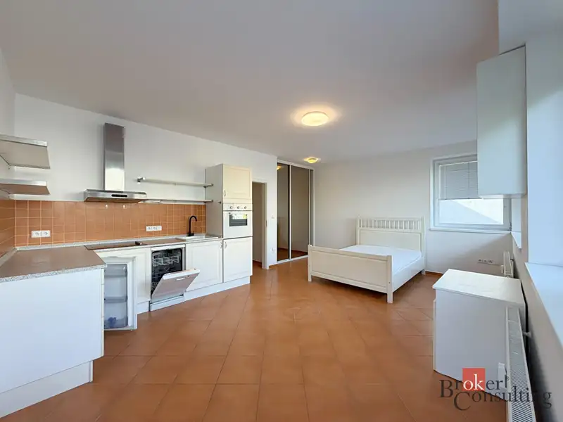 Pronájem bytu 1+kk 33 m², Plzeň – náhled fotky 2