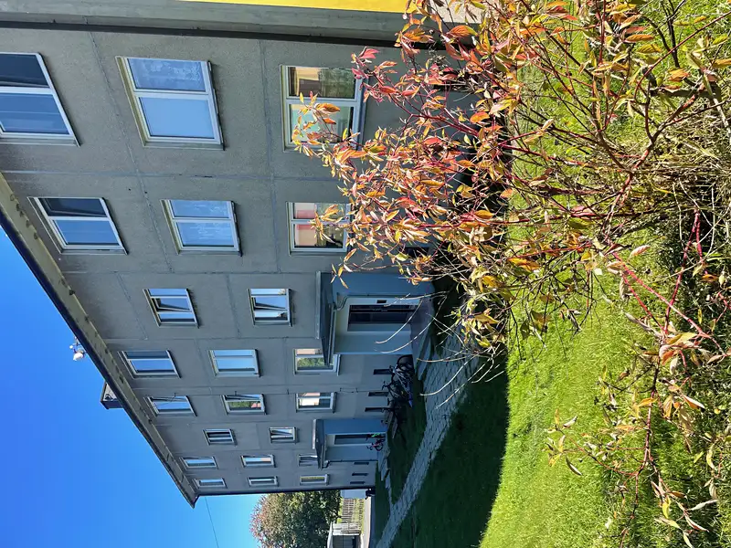 Pronájem bytu 2+1 51 m², Mezina – náhled fotky 3