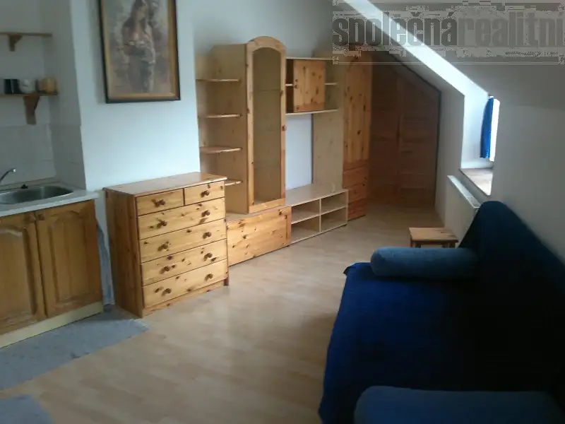 Pronájem bytu 1+kk 25 m², Holubice – náhled fotky 1
