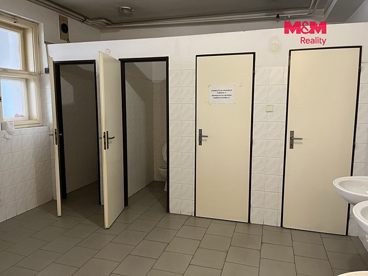 Комерційне приміщення в оренду, 535 м² (18 з 21)