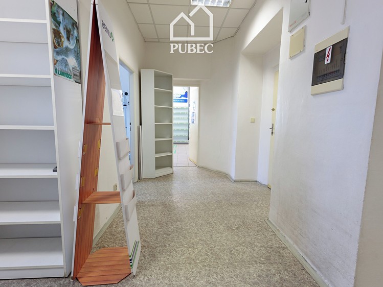 Pronájem komerčního prostoru, 132 m² (18 z 24)
