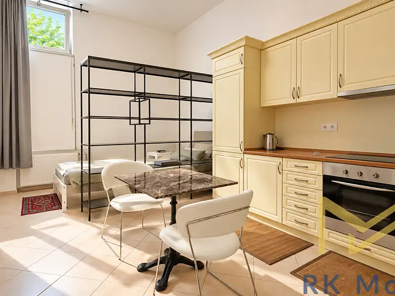 Pronájem bytu 1+kk 41 m², Praha – náhled fotky 1