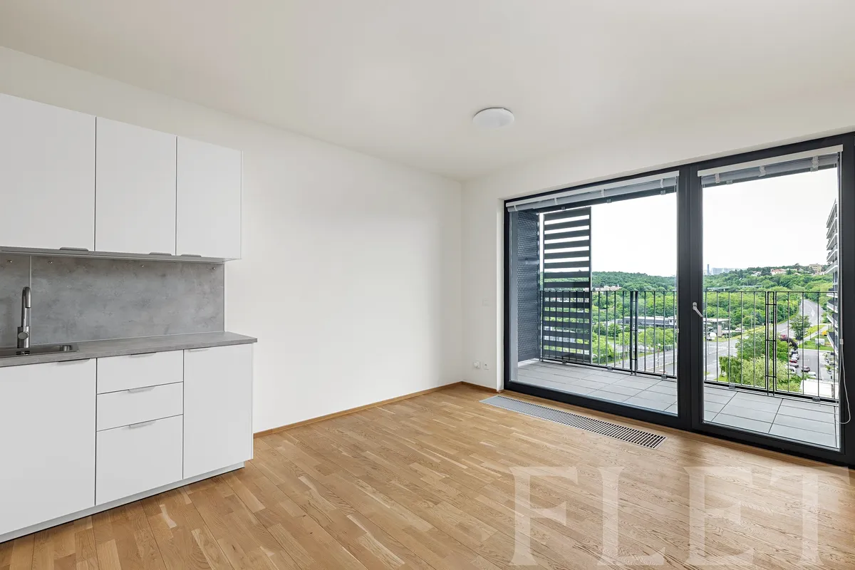 Pronájem bytu 1+kk 33 m²