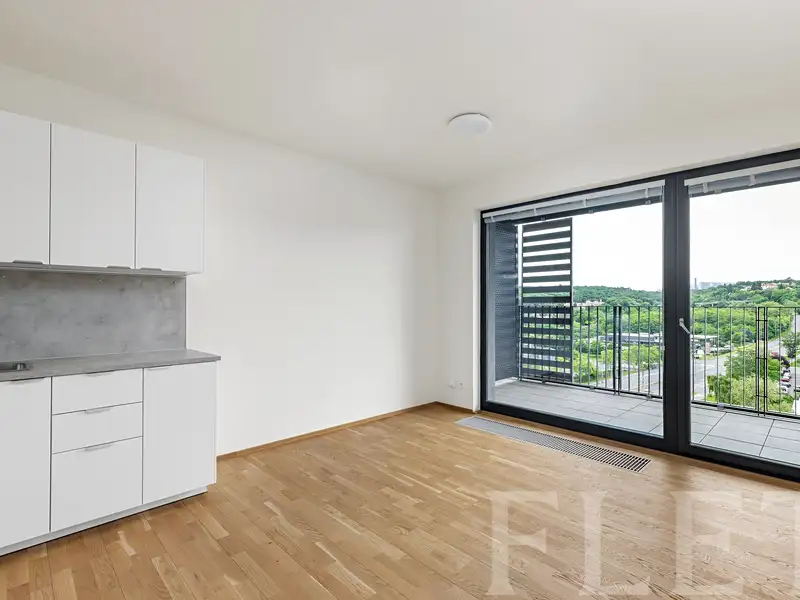 Pronájem bytu 1+kk 33 m², Praha – náhled fotky 1