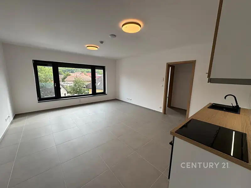 Pronájem bytu 2+kk 52 m², Bořanovice – náhled fotky 2