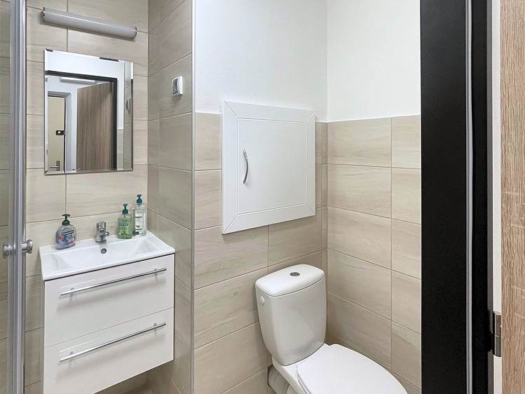 Pronájem bytu 1+kk, 31 m² (5 z 8)
