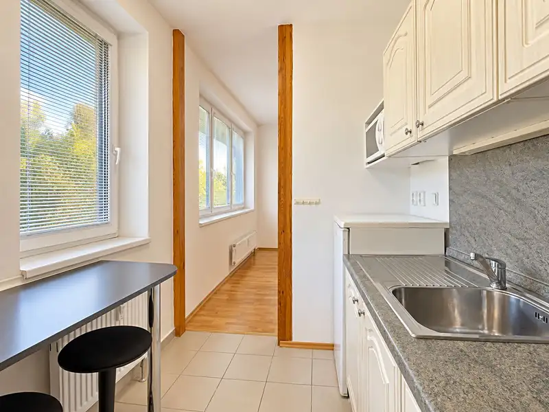 Pronájem bytu 1+kk 26 m², Praha – náhled fotky 2