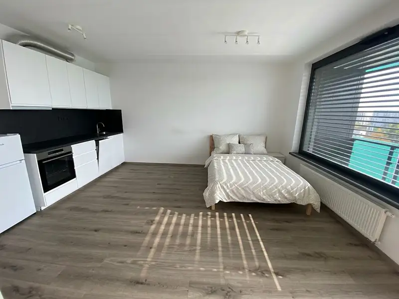 Pronájem bytu 1+kk 33 m², Praha – náhled fotky 1