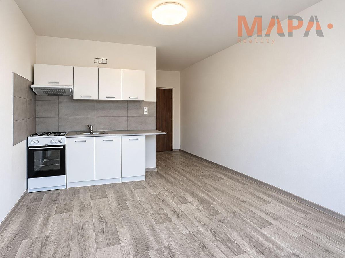 Pronájem bytu 1+1 35 m² – fotografie 4