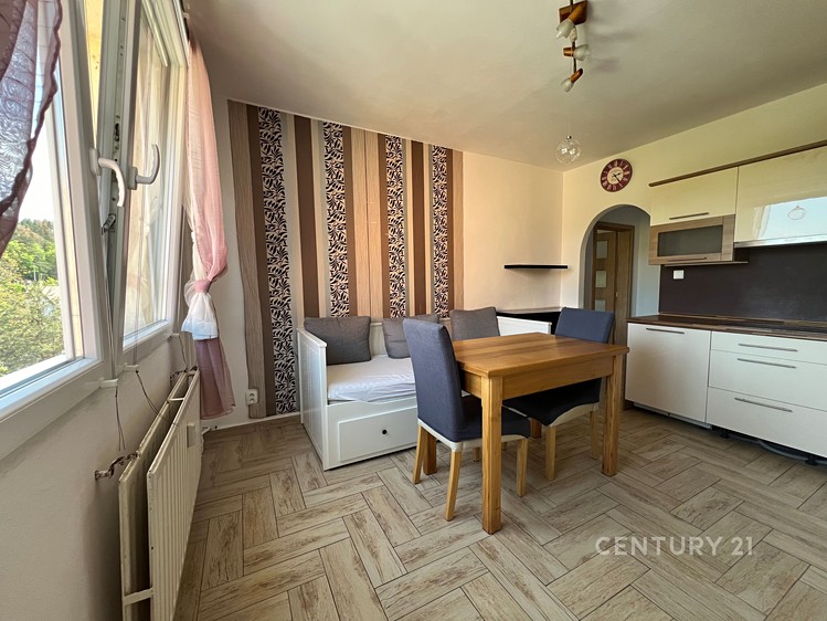 Pronájem bytu 2+kk, 41 m² (1 z 12)