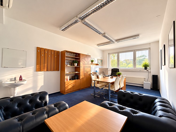 Pronájem komerčního prostoru, 125 m² (30 z 59)