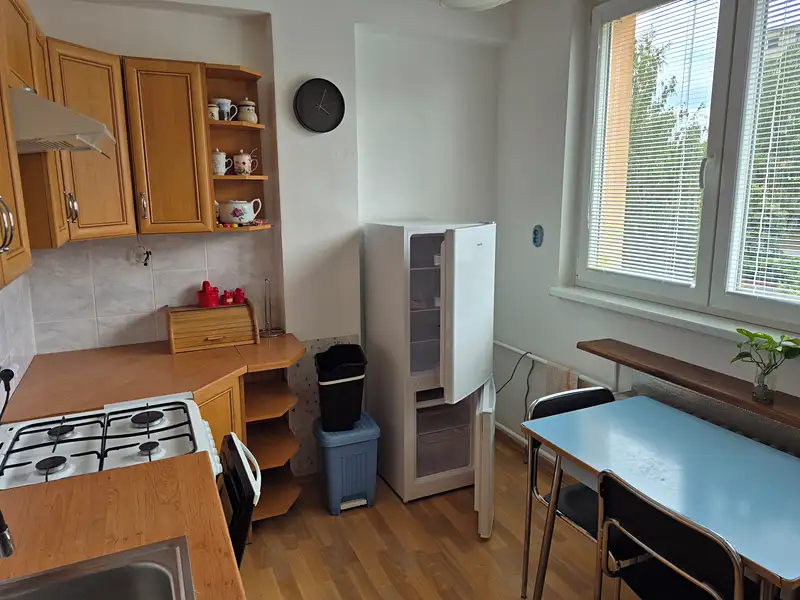 Prodej bytu 1+1 40 m², Liberec – náhled fotky 2
