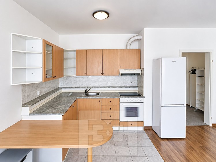 Квартира 1+kk в оренду, 43 м² (2 з 16)