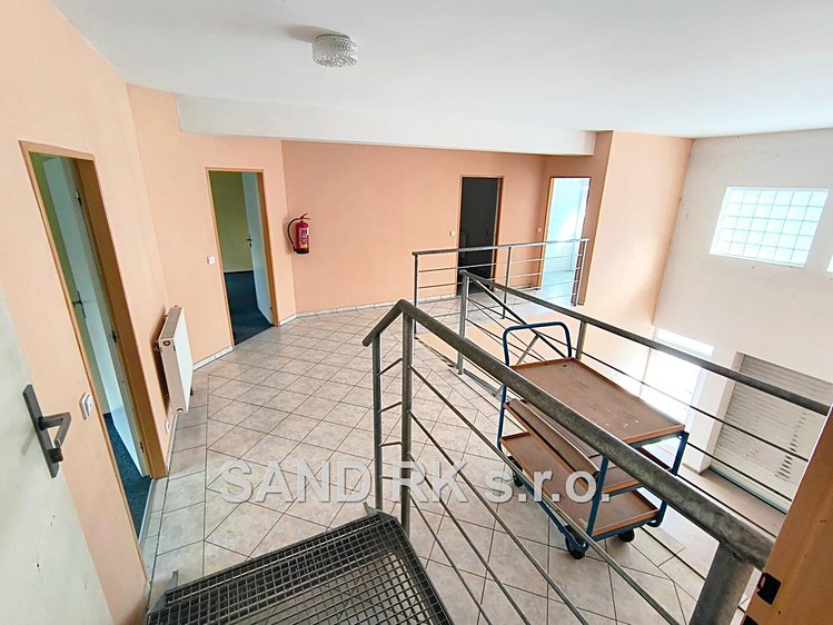 Gewerbefläche zur Miete, 550 m² (4 von 25)