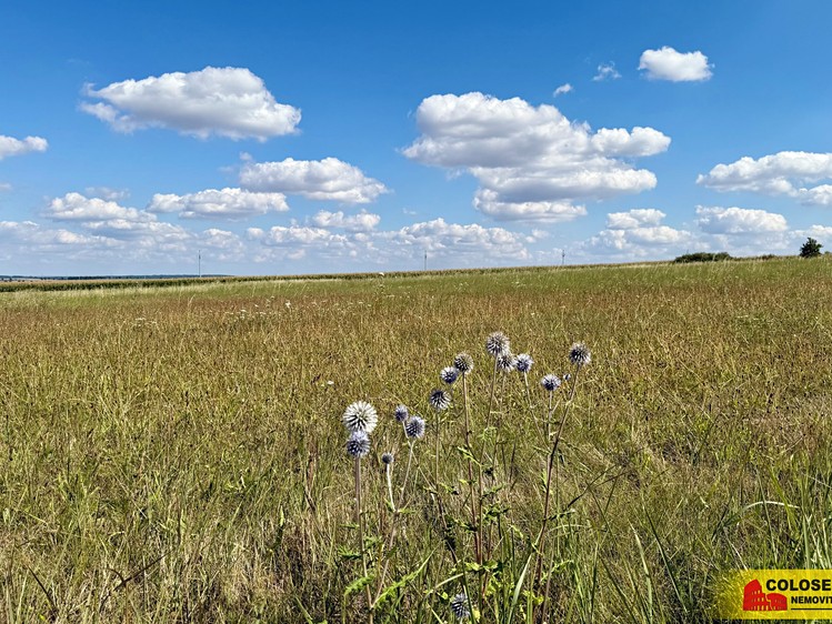 Ostatní