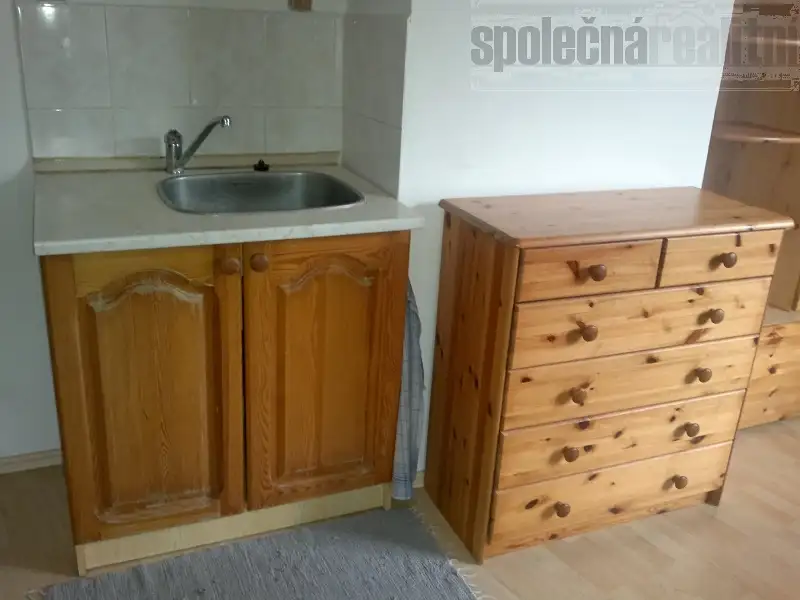 Pronájem bytu 1+kk 25 m², Holubice – náhled fotky 3