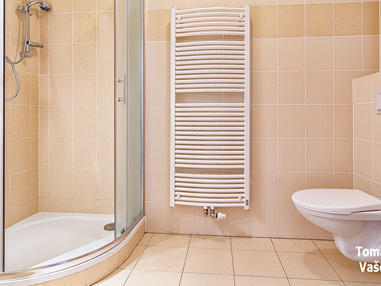 Квартира 1+kk в оренду, 31 м² (7 з 13)