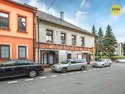 Haus zum Kauf, 250 m² (3 von 49)