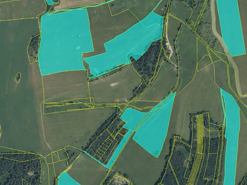 Dražba pozemku 223600 m², Staré Sedlo – náhled fotky 1