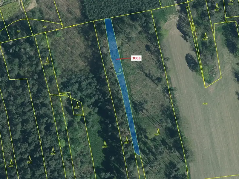 Dražba lesa 703 m², Koloveč – náhled fotky 2