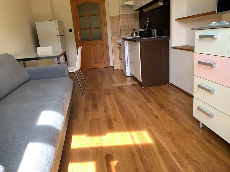 Pronájem bytu 2+kk 50 m², Karlovy Vary – náhled fotky 2