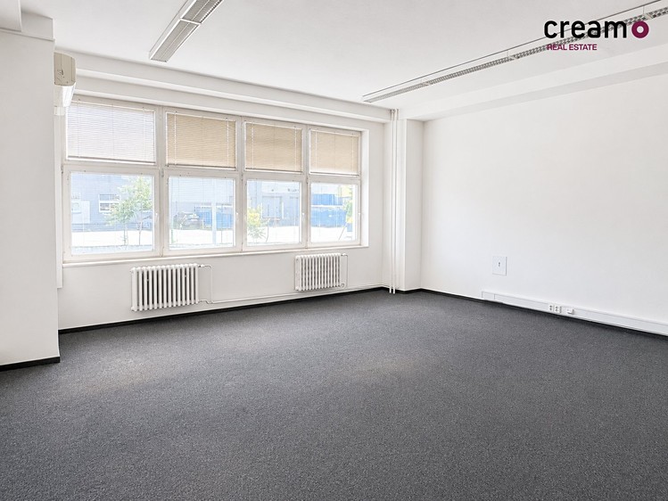 Pronájem komerčního prostoru, 263 m² (6 z 14)