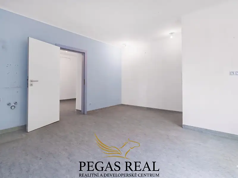 Prodej bytu 3+kk 57 m², Brno – náhled fotky 1