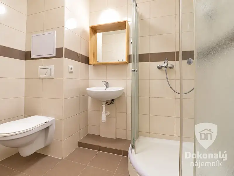 Pronájem bytu 2+1 50 m², Praha – náhled fotky 3