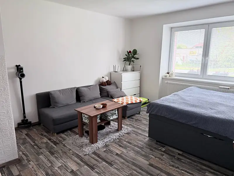 Pronájem bytu 1+kk 30 m², Štěpánov – náhled fotky 3