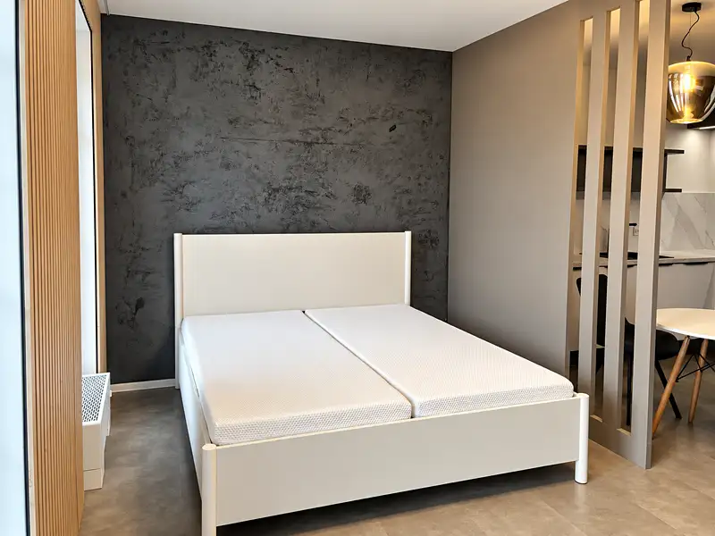 Pronájem bytu 1+kk 45 m², Olomouc – náhled fotky 3
