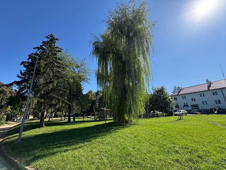 Ostatní