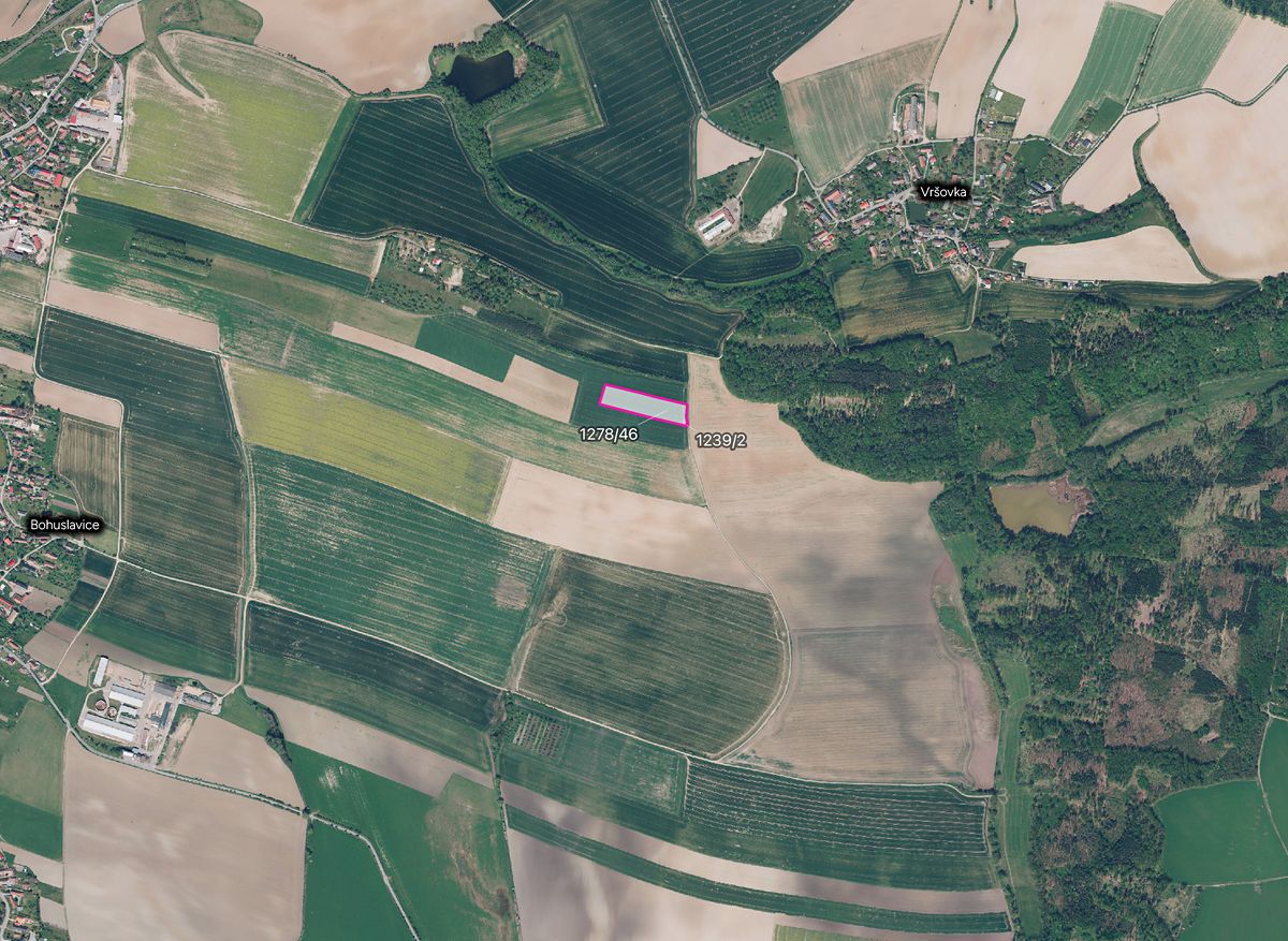 Prodej pole 11368 m², Bohuslavice – fotka 1 z 3