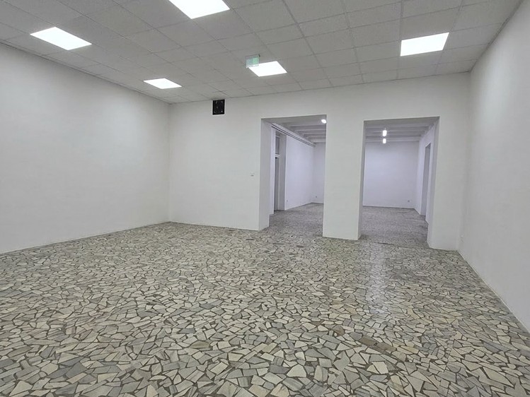 Gewerbefläche zur Miete, 212 m² (3 von 5)