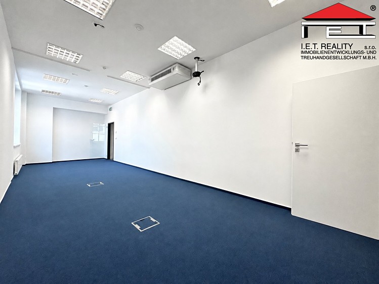 Pronájem komerčního prostoru, 149 m² (7 z 12)
