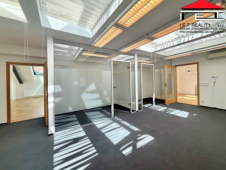 Pronájem komerčního prostoru, 196 m² (7 z 29)